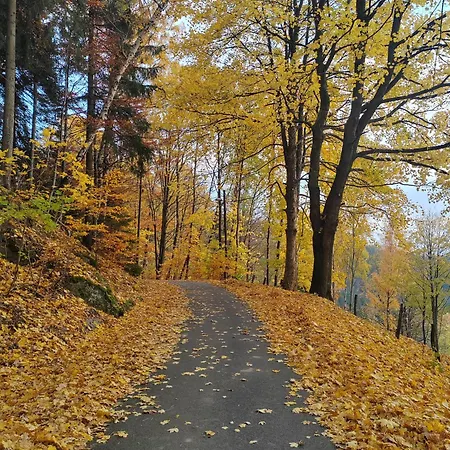 Na Bezkach * Janov nad Nisou