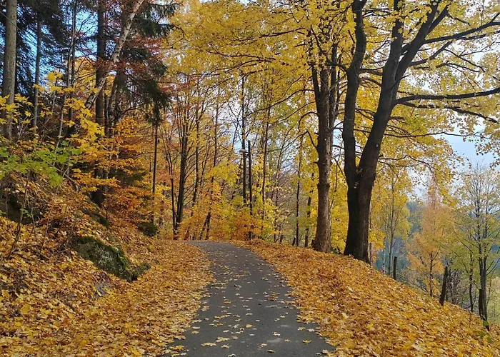 Na Bezkach * Janov nad Nisou